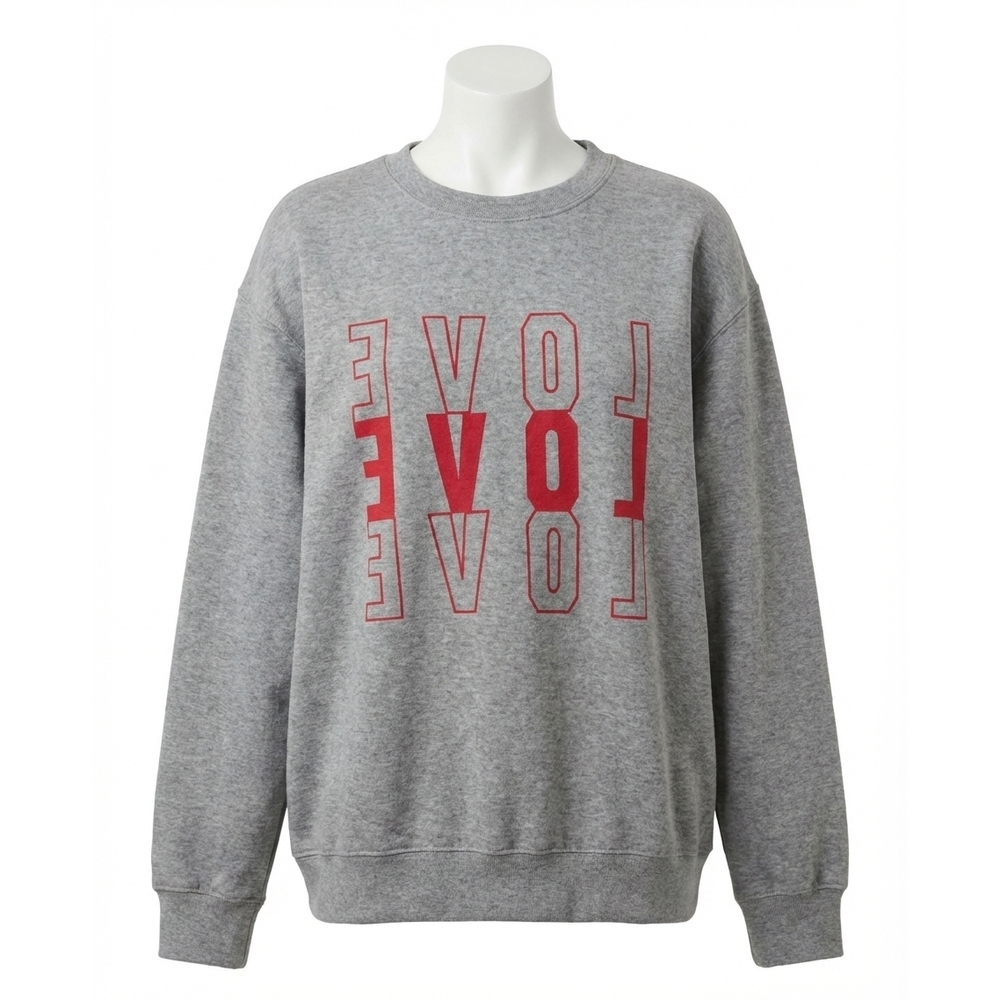 NEW Z SUPPLY amor boyfriend sweatshirt in classic heather grey